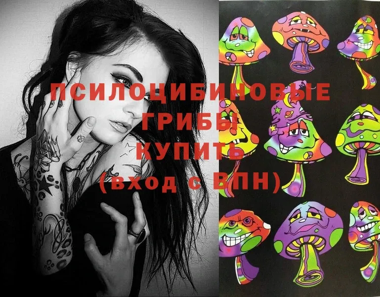 Галлюциногенные грибы MAGIC MUSHROOMS  Беломорск 